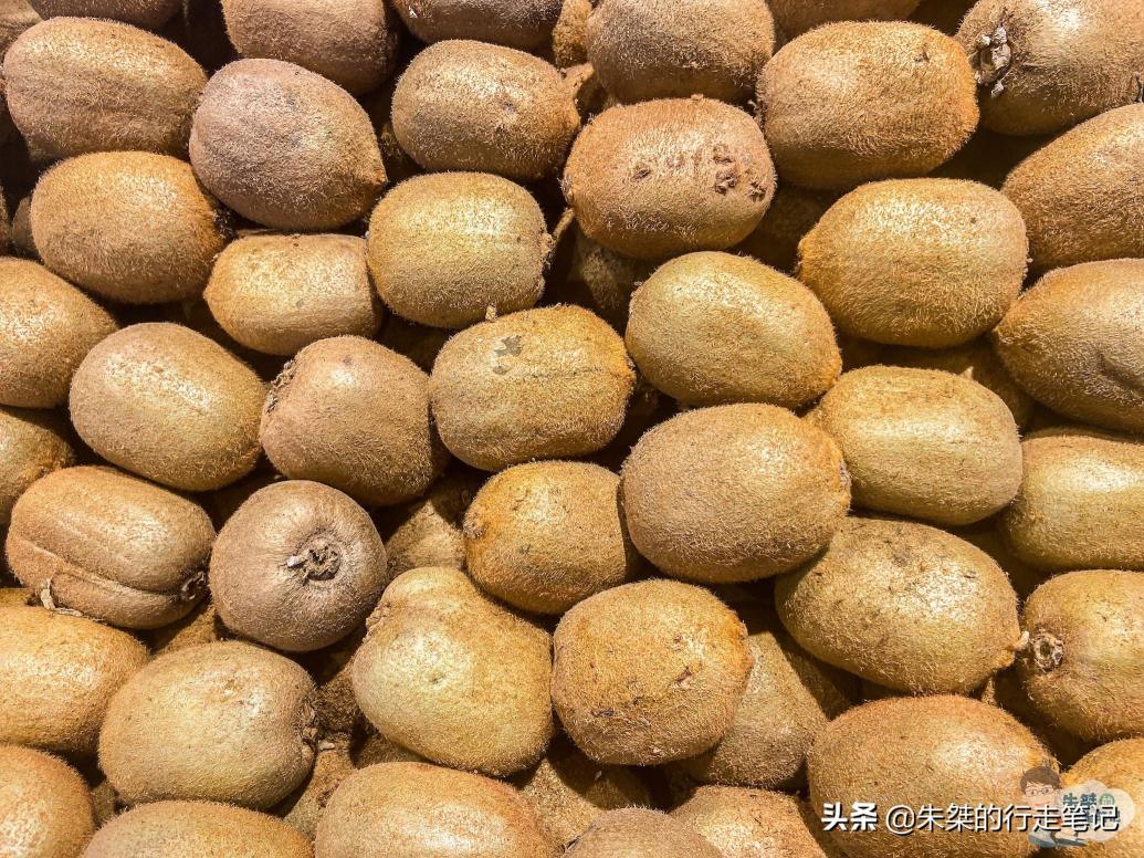 谁才是中国水果第一省？每年为每个国人生产25斤水果-新闻频道-和讯网